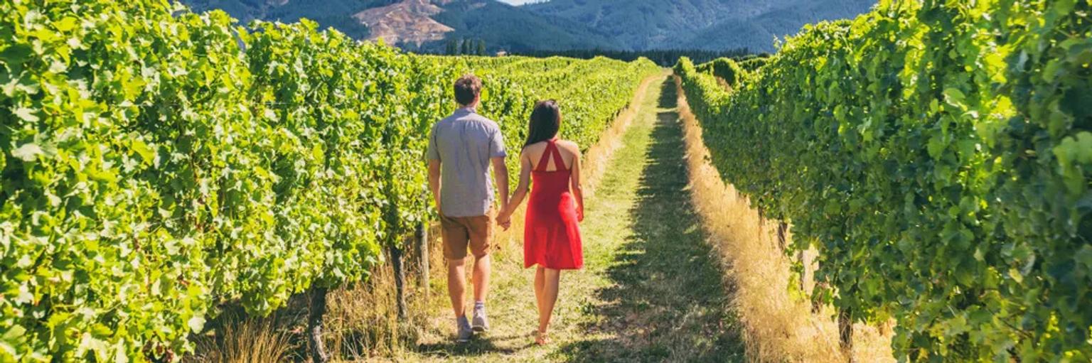 casal passeia pelo meio das vinhas no douro