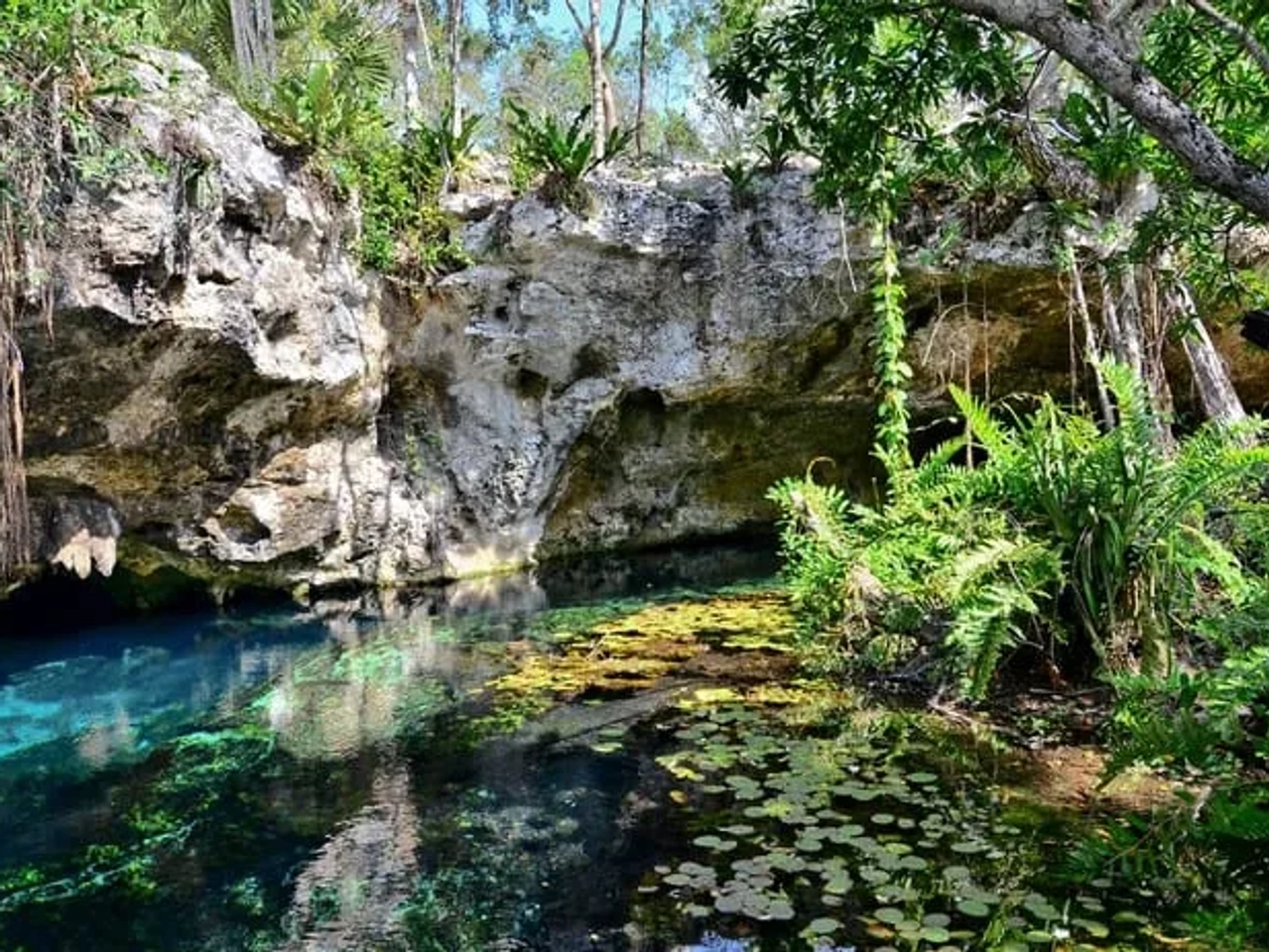 mejores cenotes de Riviera Maya