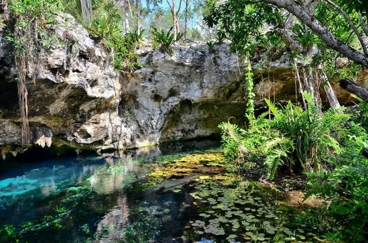mejores cenotes de Riviera Maya