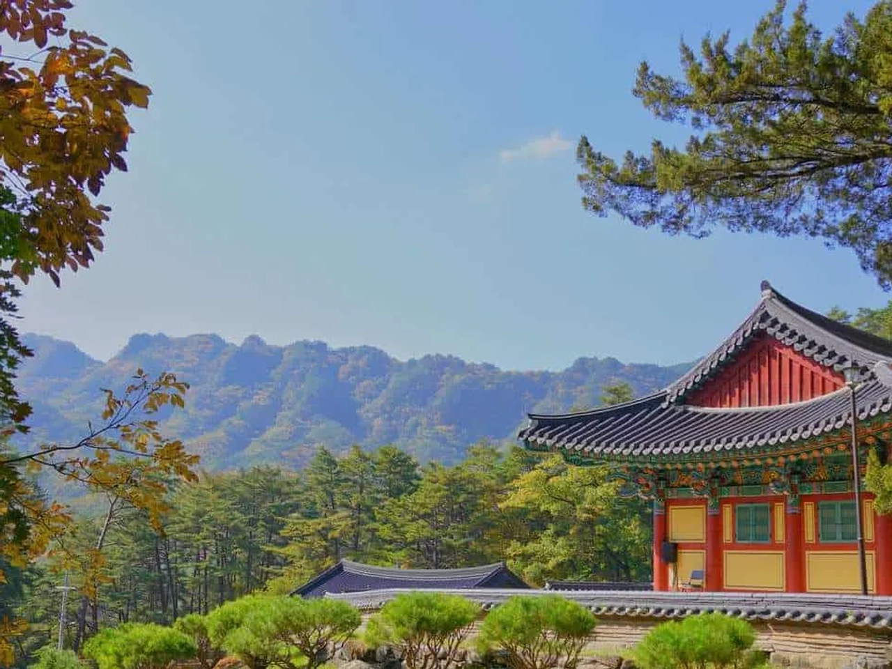 viajes a Corea del Sur