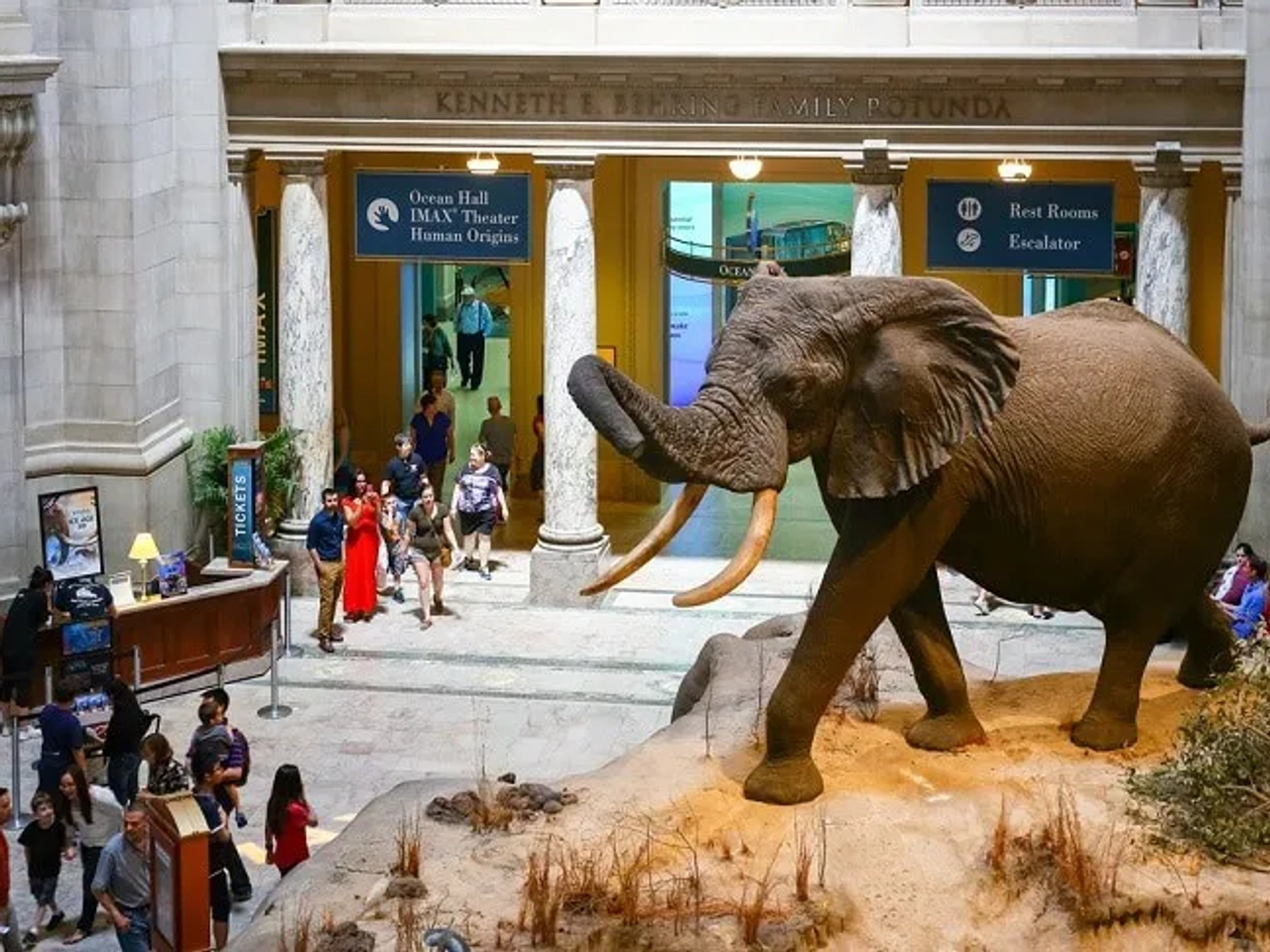 5 cosas gratis que hacer en Nueva York