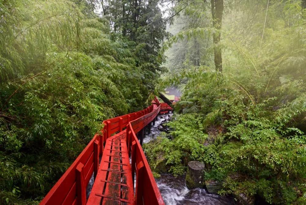 viajar a Coñaripe, Chile