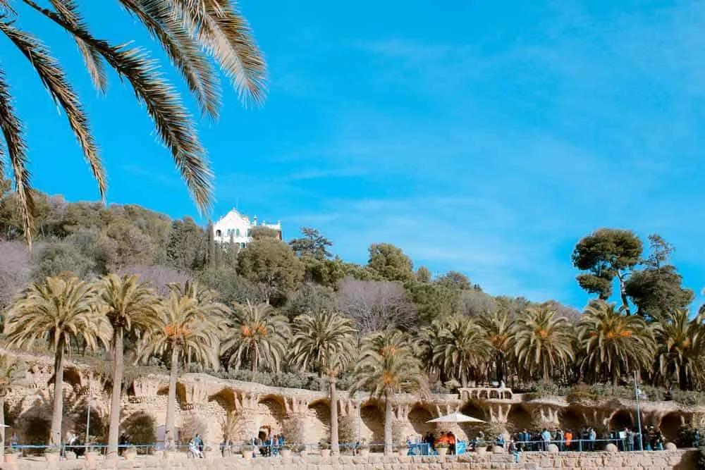 horarios y entradas gratis