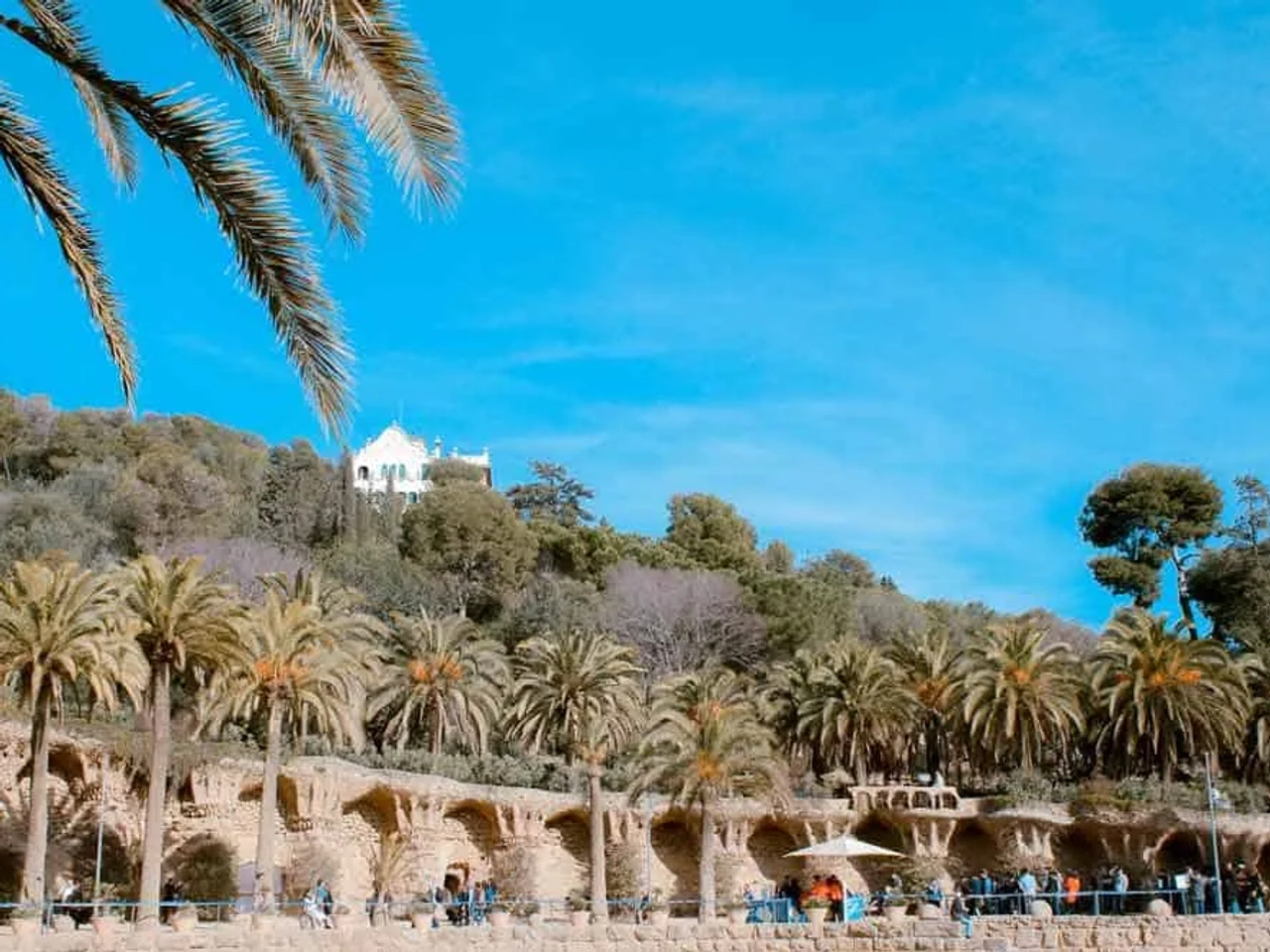 horarios y entradas gratis