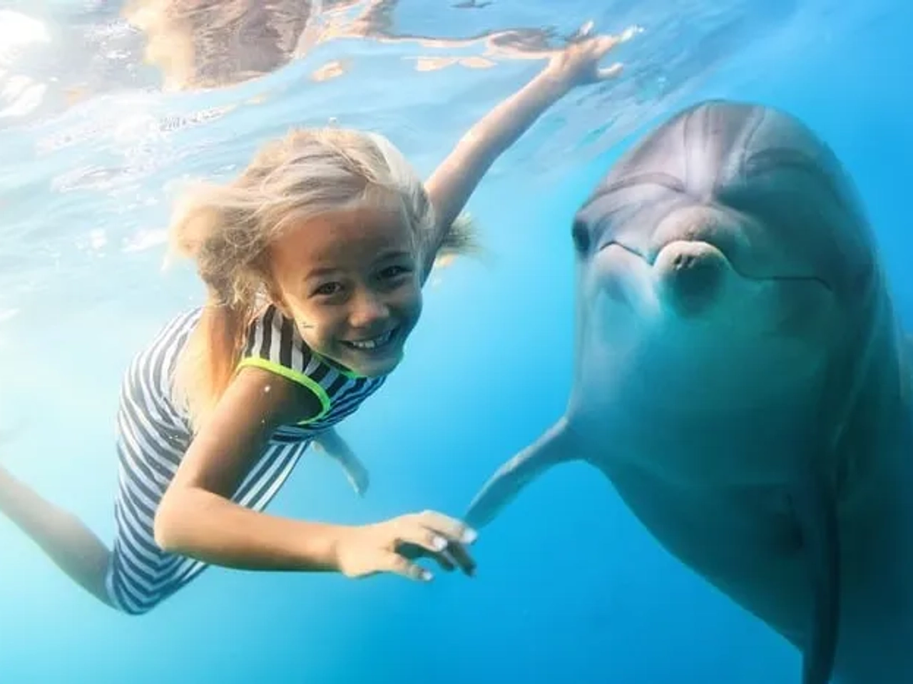 expectativa vs realidad turismo con animales