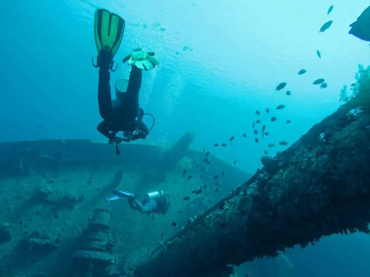 Bucear en el Mar Rojo