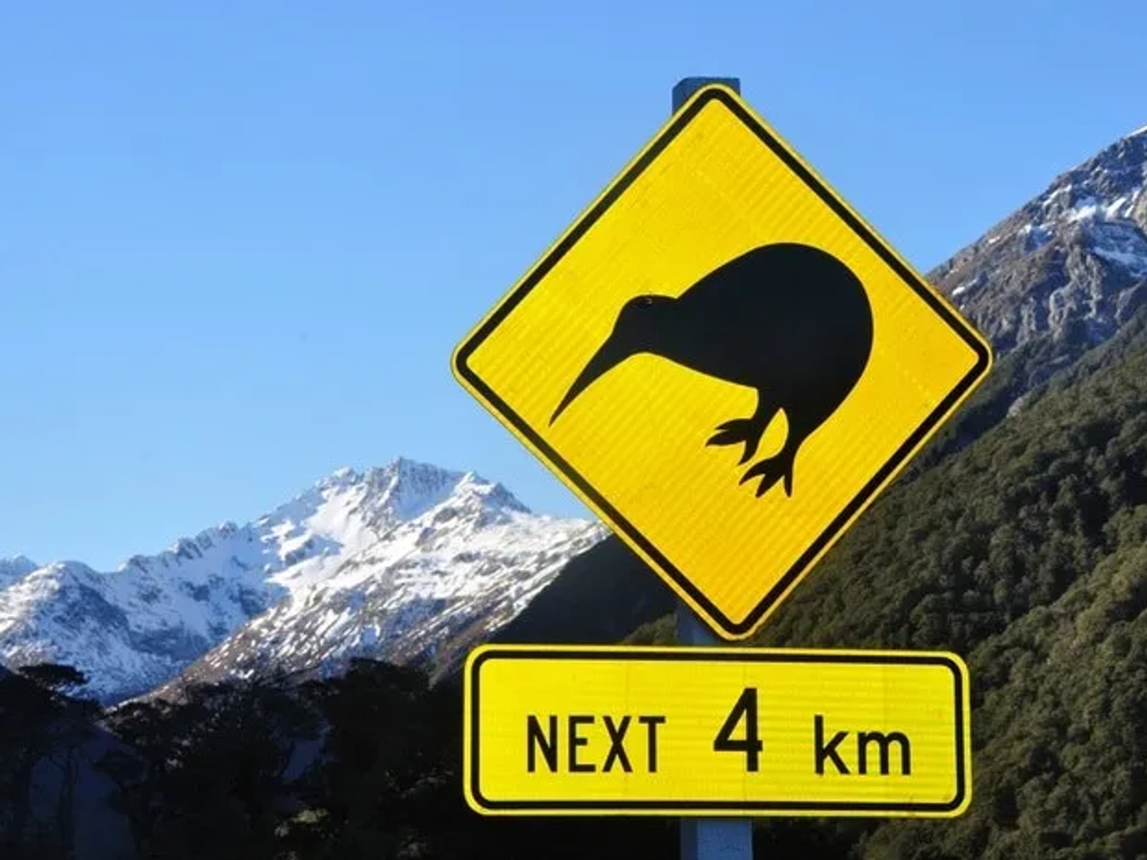 Seguro médico Working Holiday Visa Nueva Zelanda