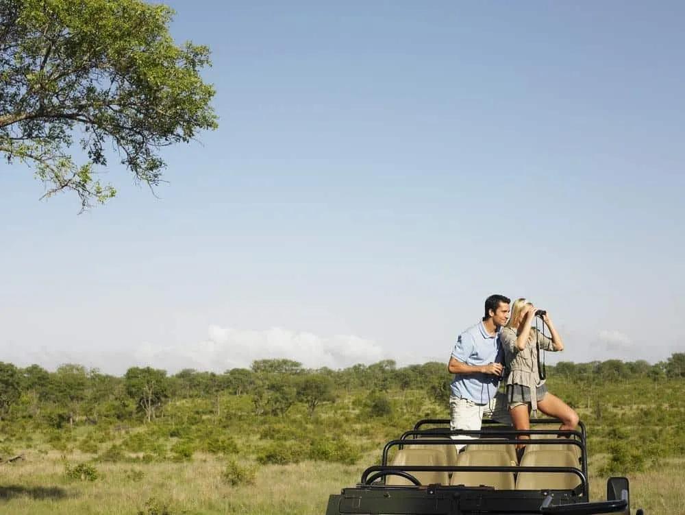 casal num safari