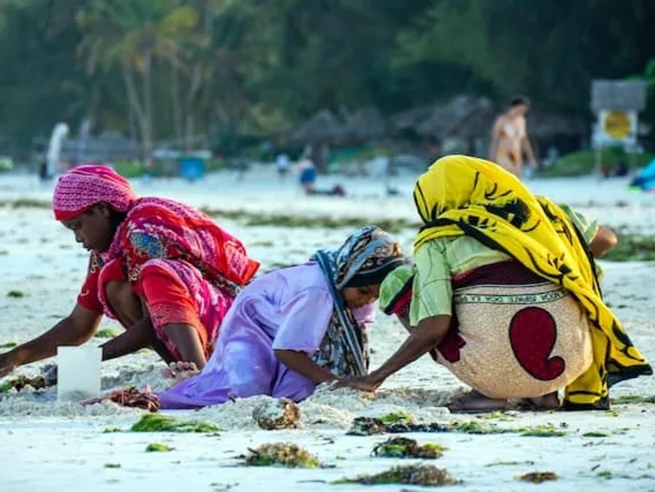 pessoas na praia de paje em zanzibar, a apanhar lixo