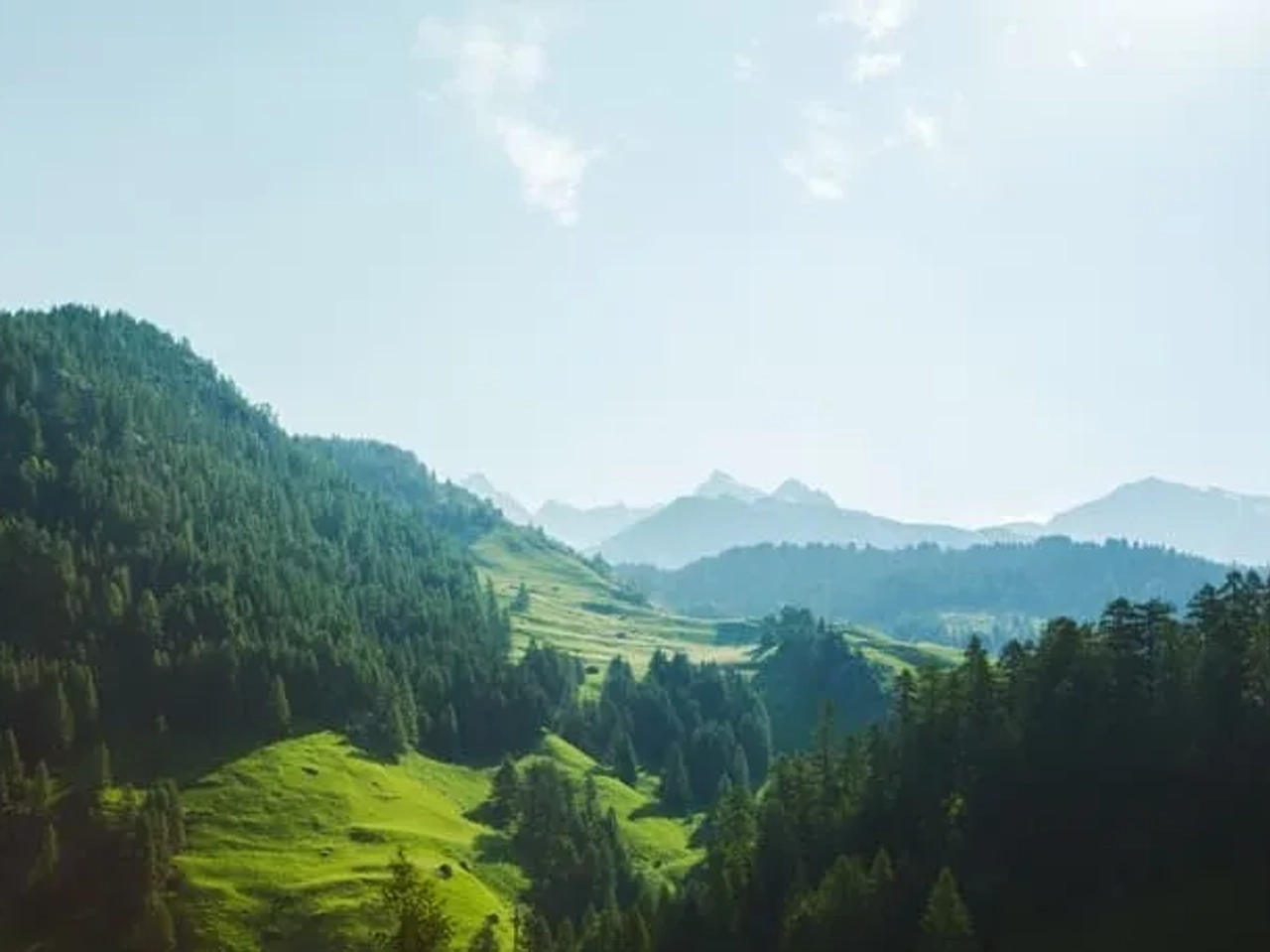 Prados alpinos na Suíça