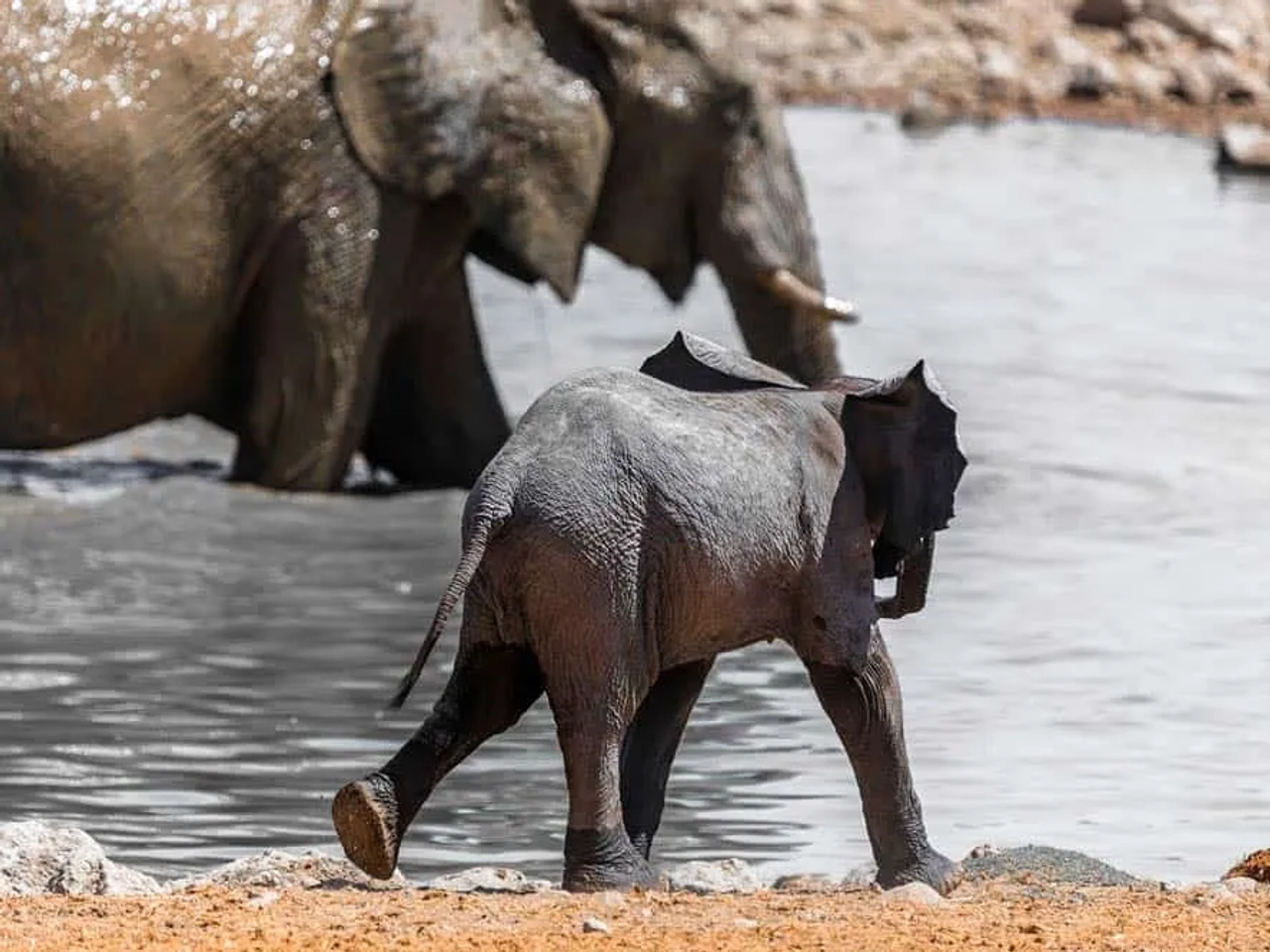seguro para viajar a Mozambique
