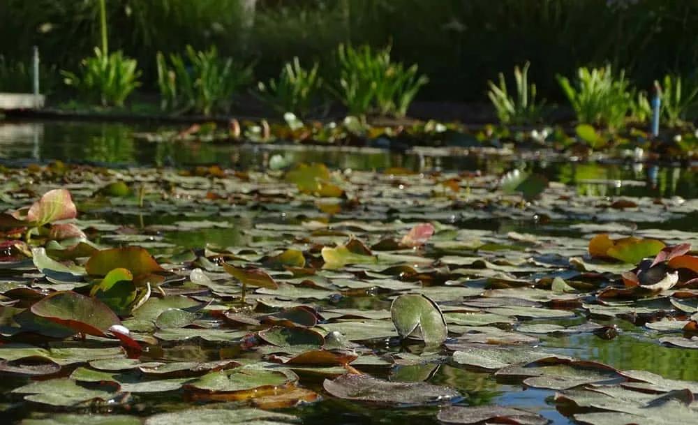 mejores cosas que hacer y que ver en Santiago de Chile
