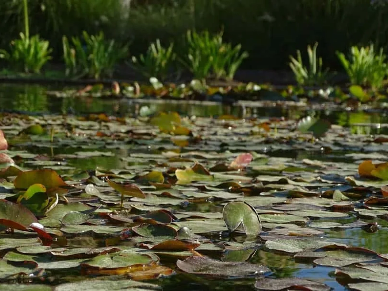 mejores cosas que hacer y que ver en Santiago de Chile