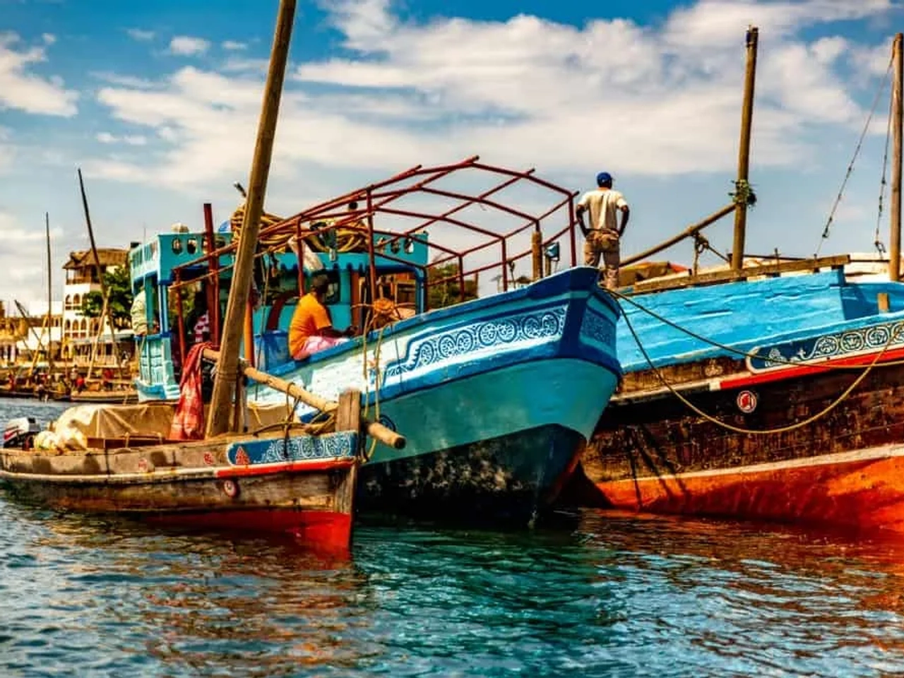 malaria en Mozambique