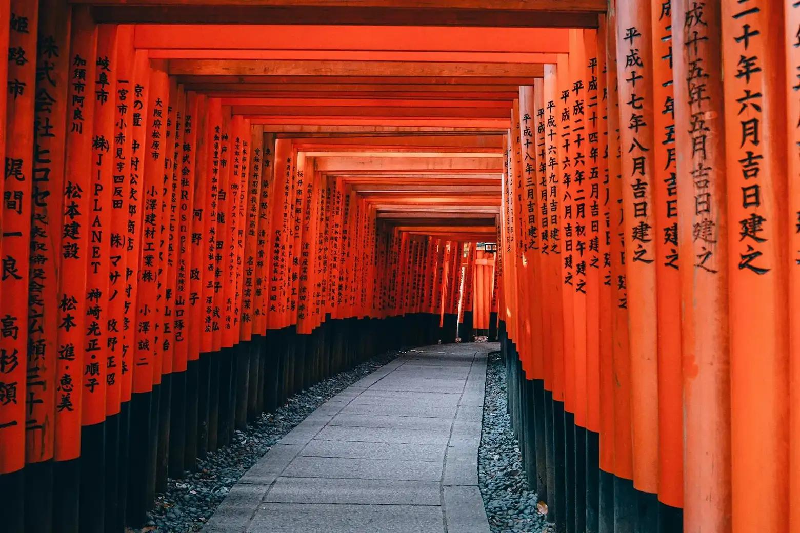 Sentiero tra i torii rossi del santuario Fushimi Inari a Kyoto, Giappone