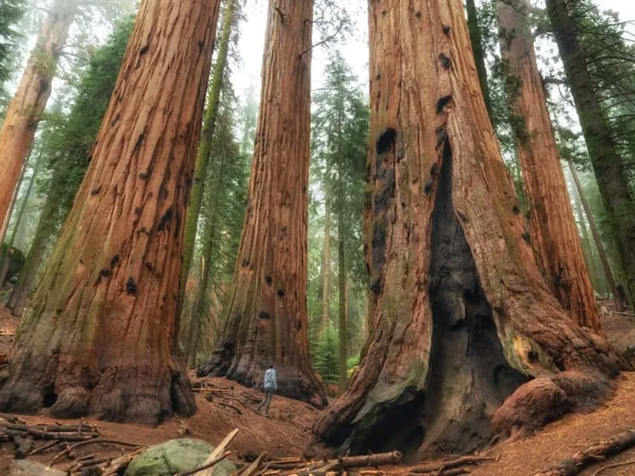 que ver en California