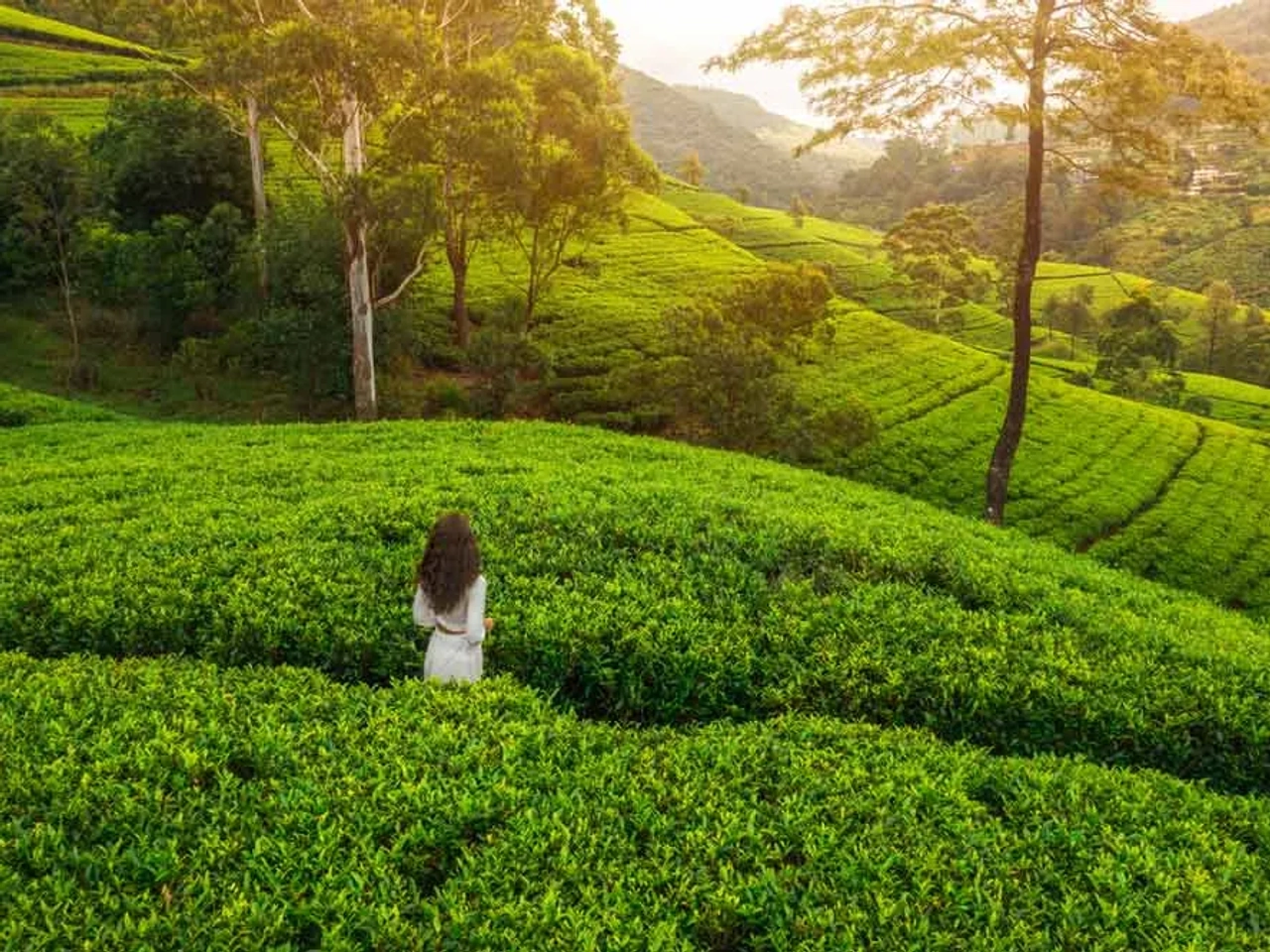 qué saber antes de un viaje a Sri Lanka