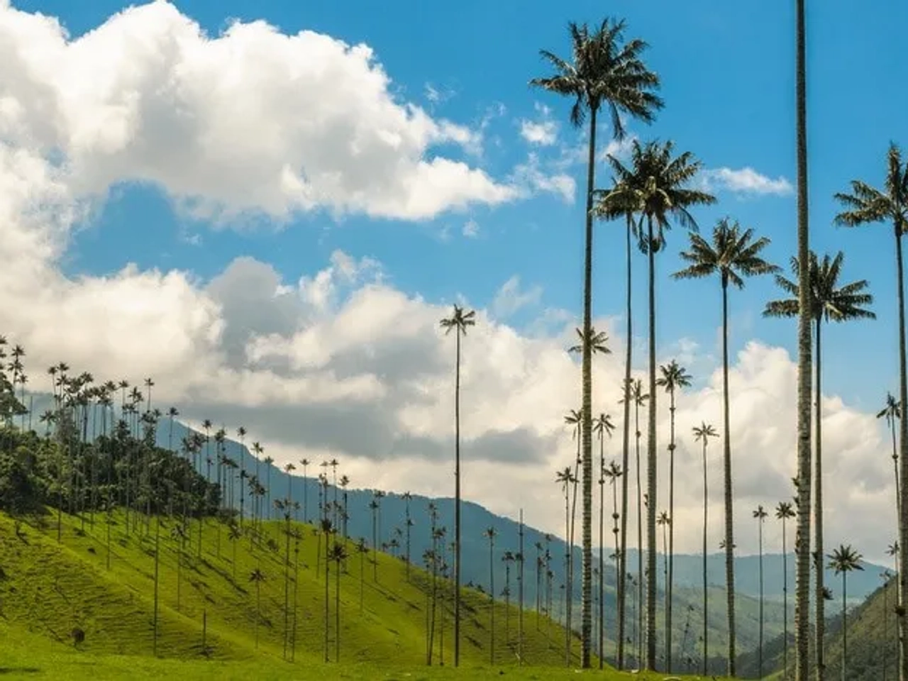 itinerario viaje Colombia