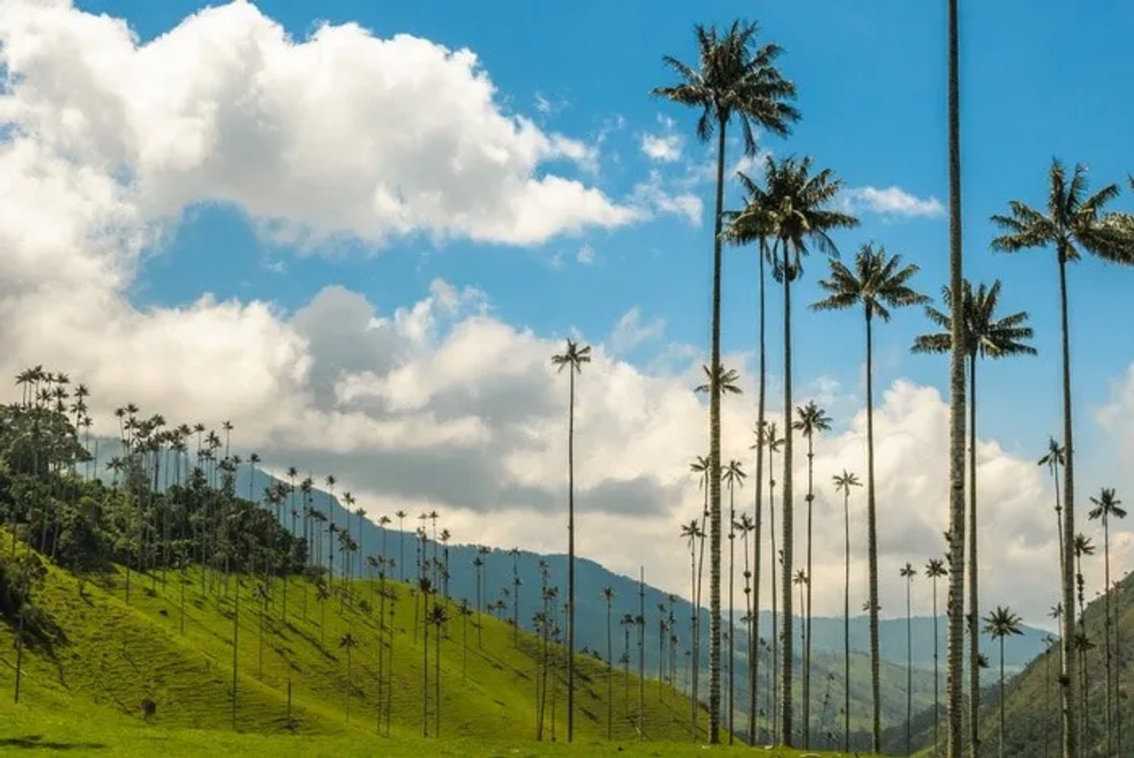 itinerario viaje por Colombia