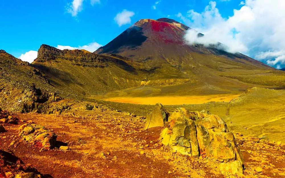 cuál es el mejor seguro médico para Nueva Zelanda