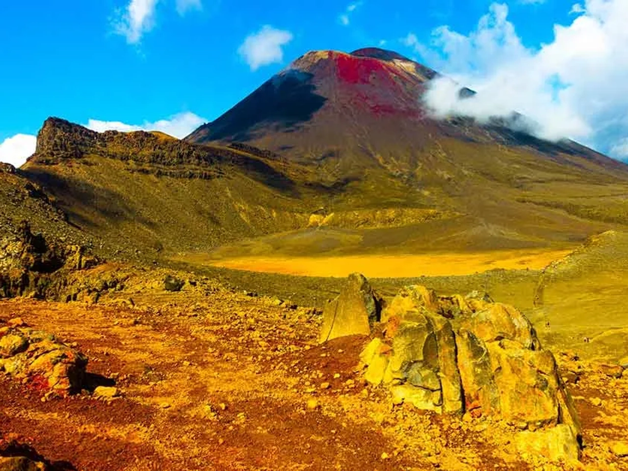 cuál es el mejor seguro médico para Nueva Zelanda