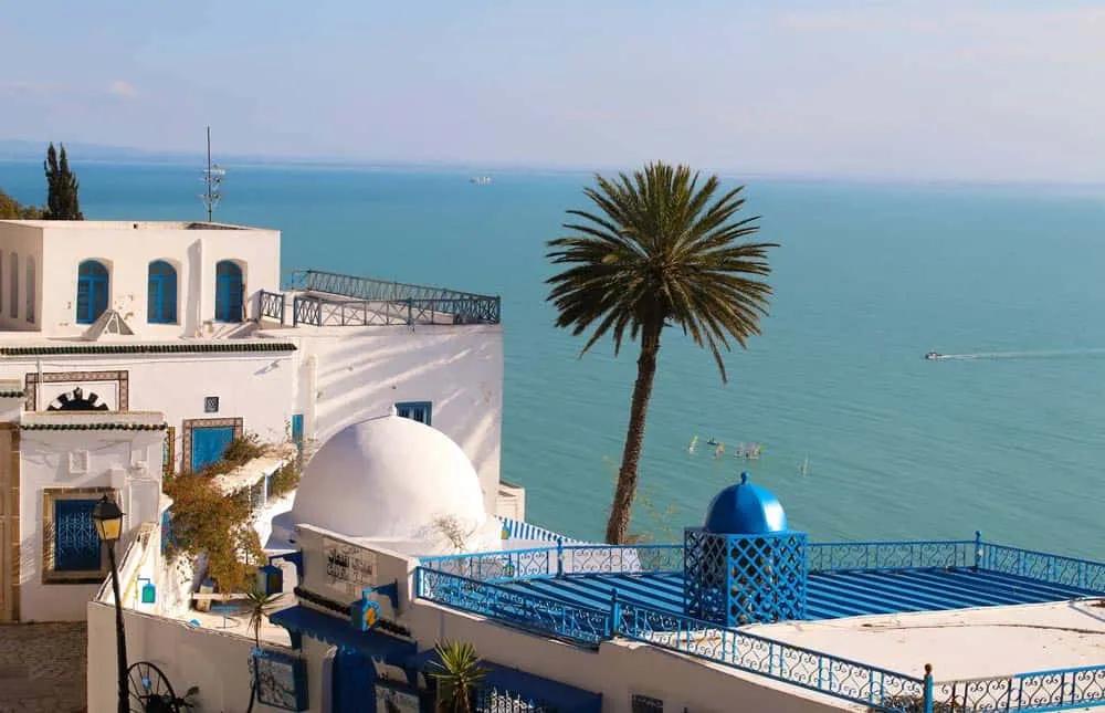 póliza internacional para Túnez