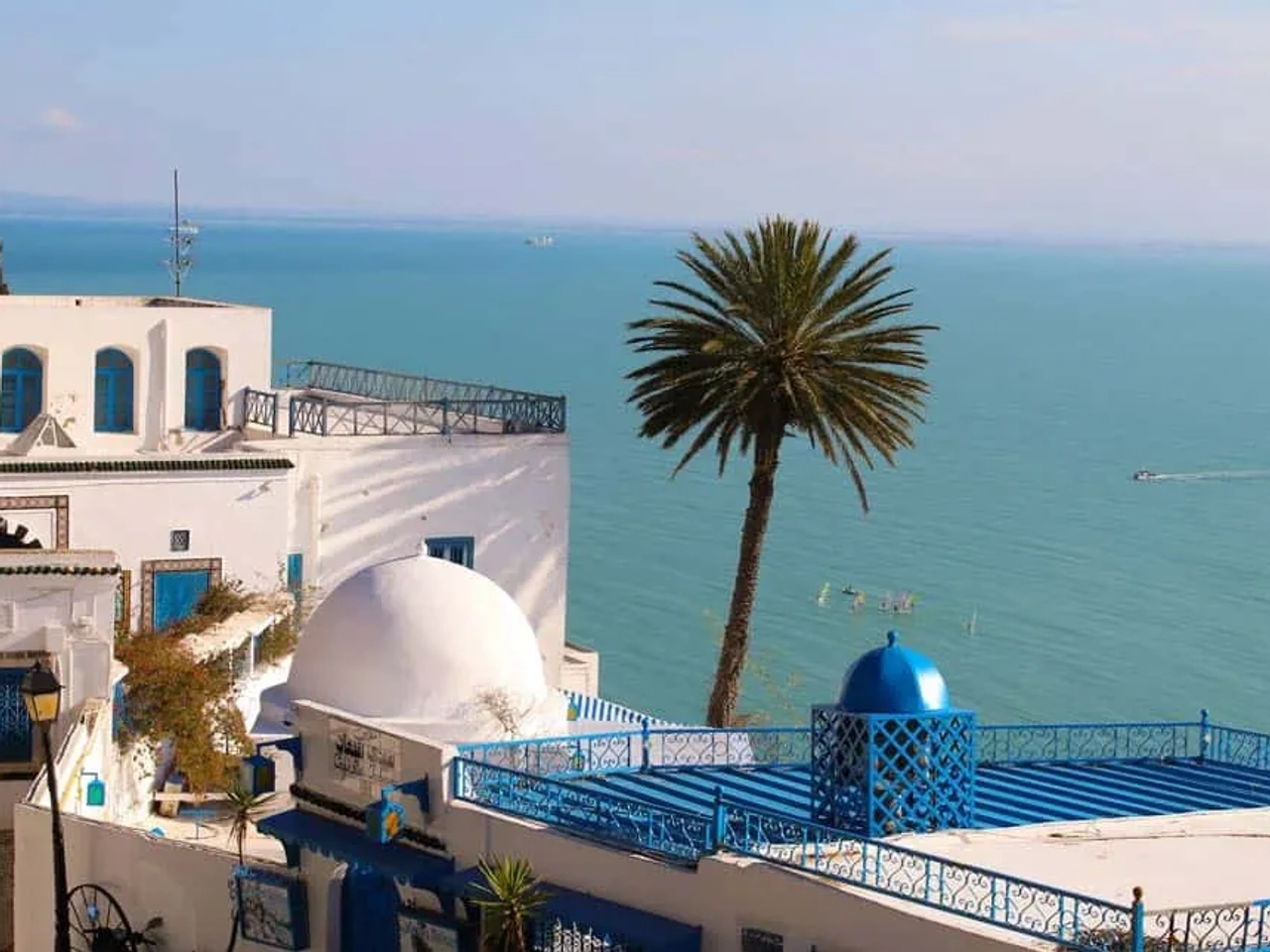 póliza internacional para Túnez