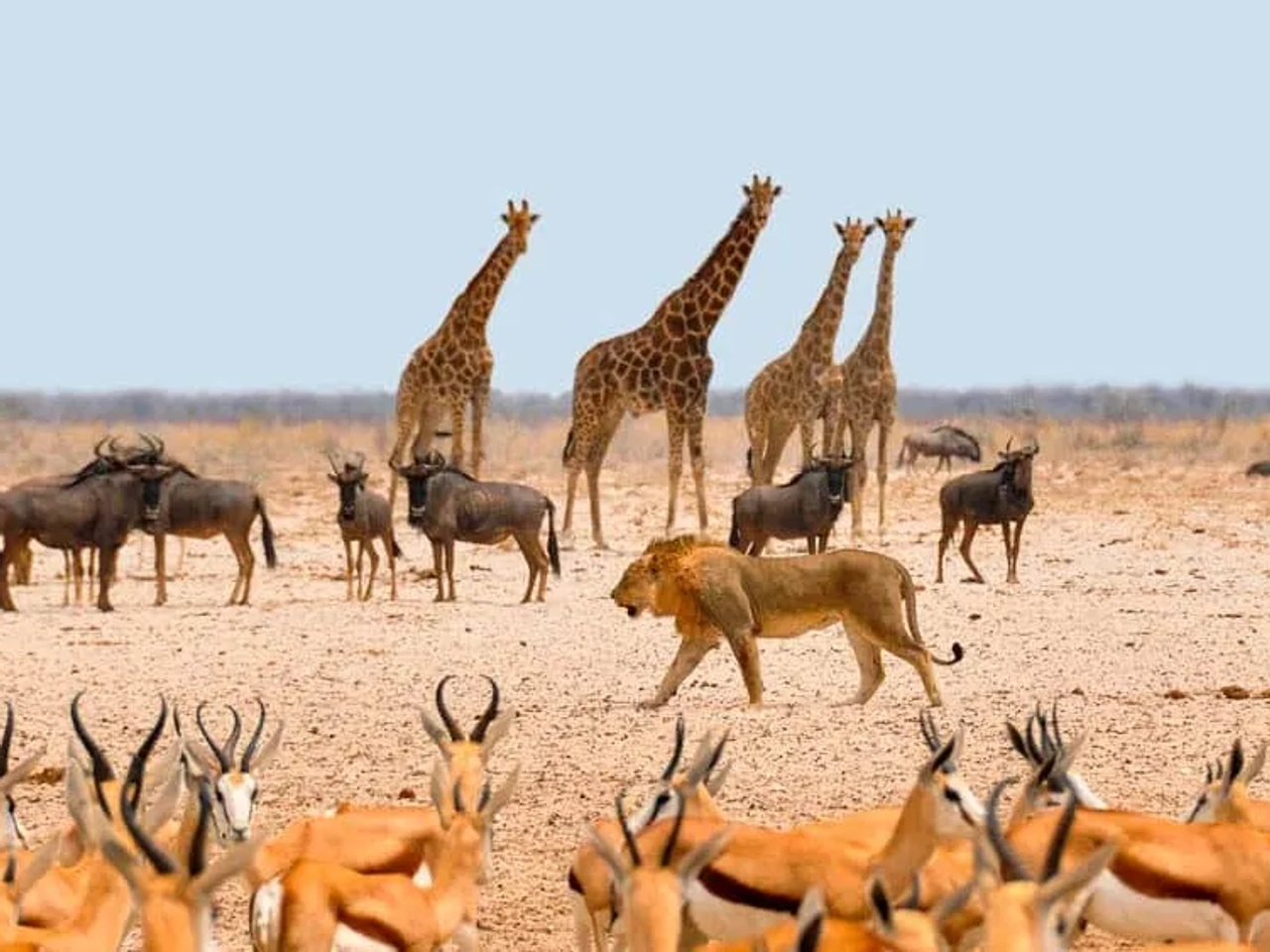 mejor ruta de viaje por Namibia