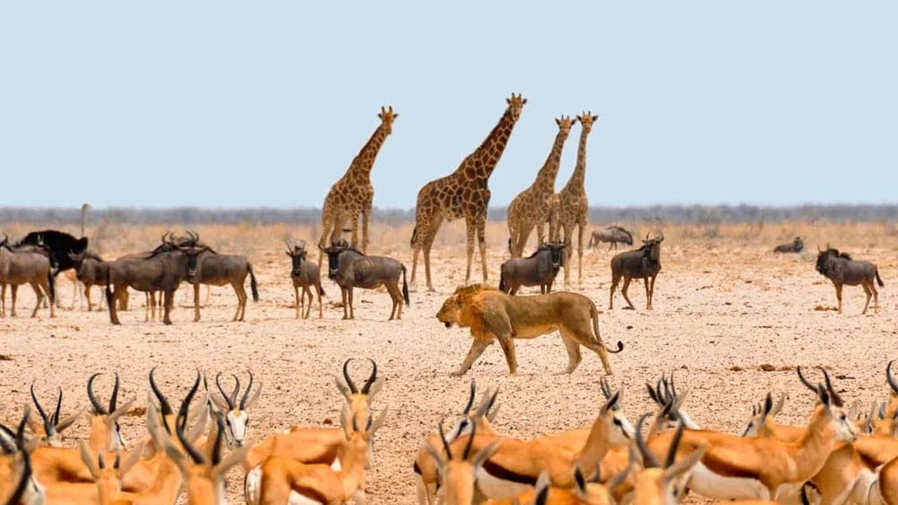 mejor ruta de viaje por Namibia