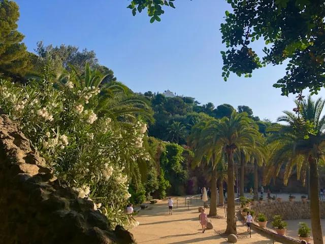 pessoas a passear num dia de sol ao pé das palmeiras no parque guell em barcelona