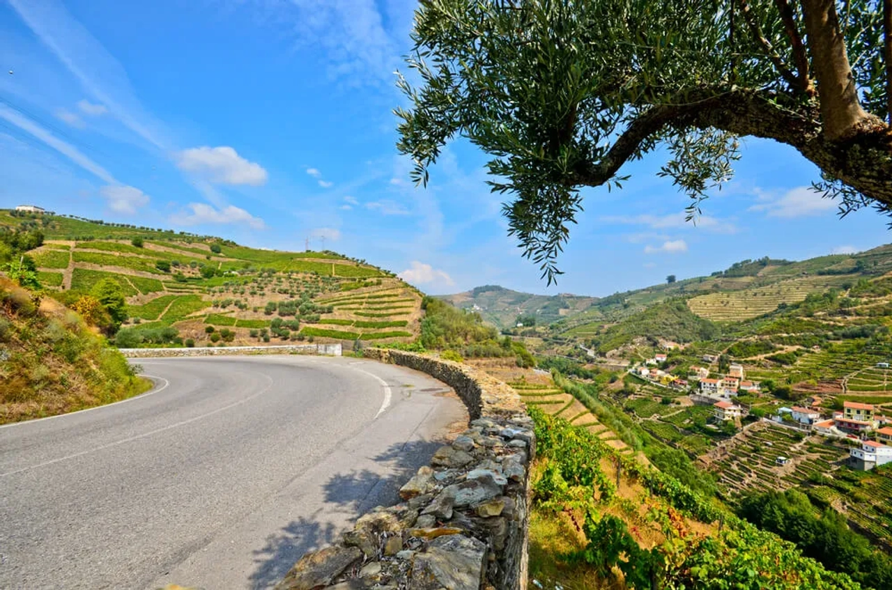estrada n222 no douro