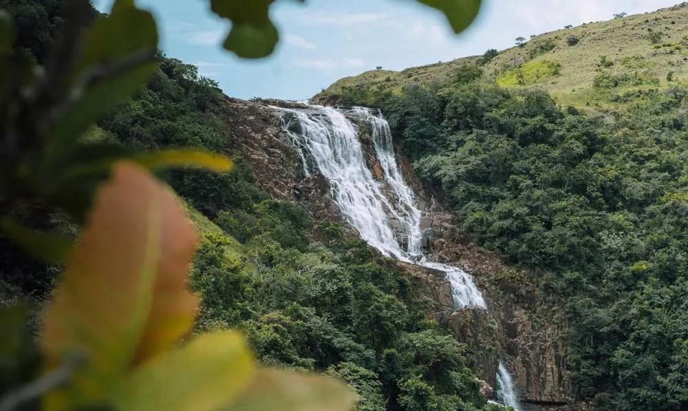 póliza internacional para Panamá