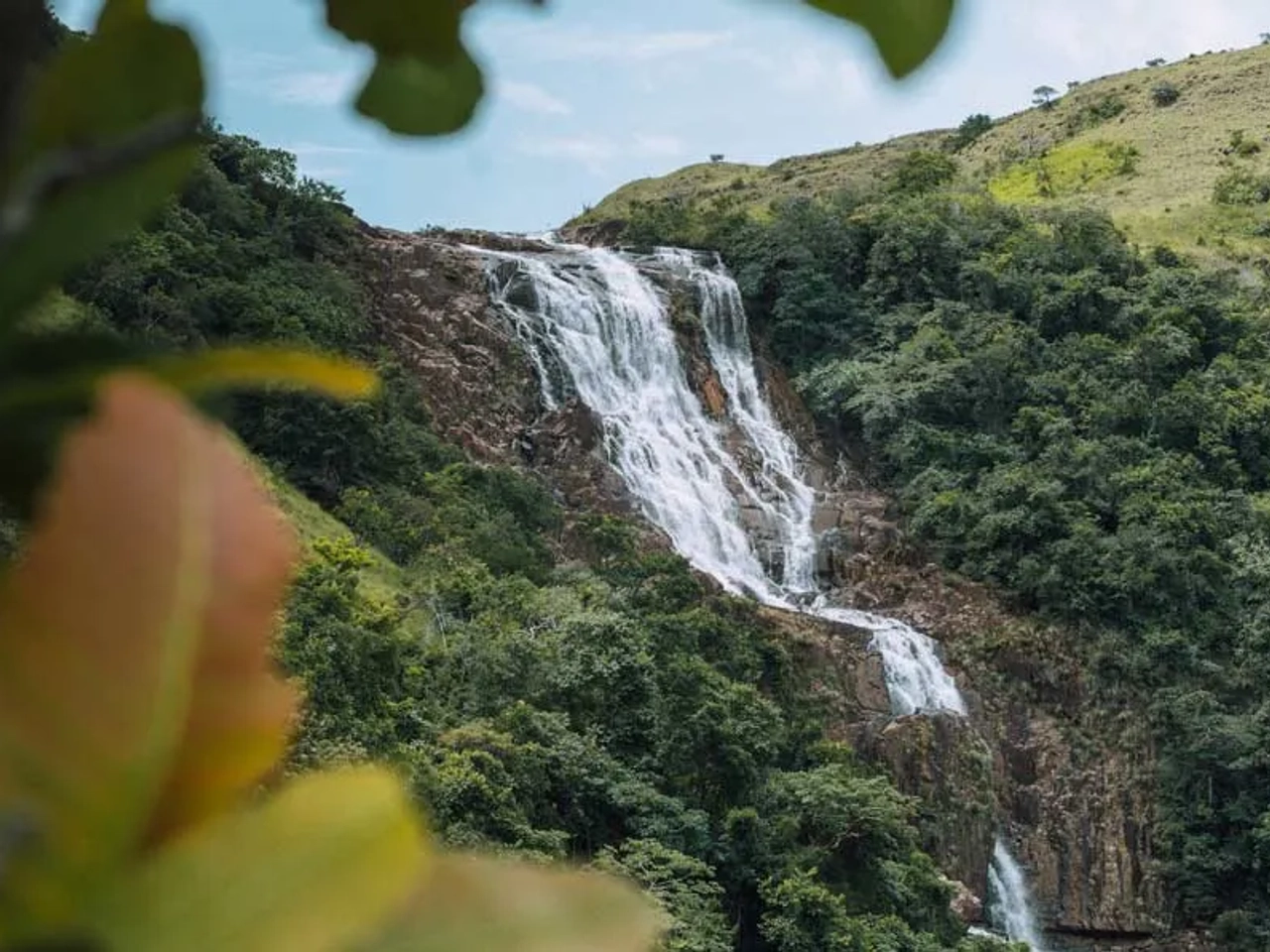 póliza internacional para Panamá