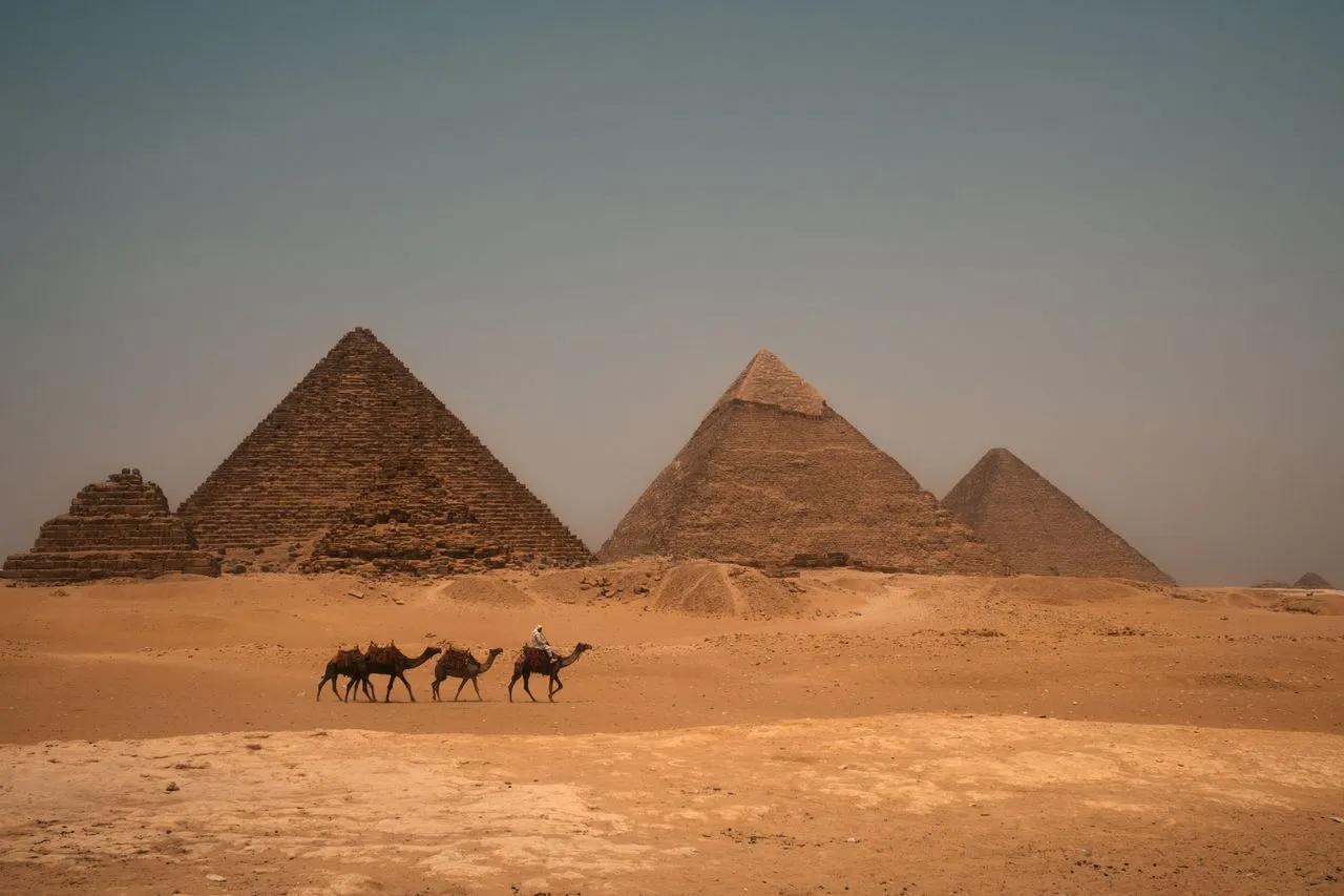 Una fila di cammelli avanza davanti alle iconiche piramidi di Giza, sotto il caldo sole egiziano