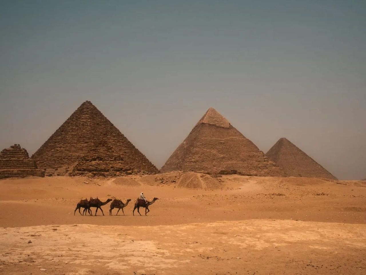 Una fila di cammelli avanza davanti alle iconiche piramidi di Giza, sotto il caldo sole egiziano