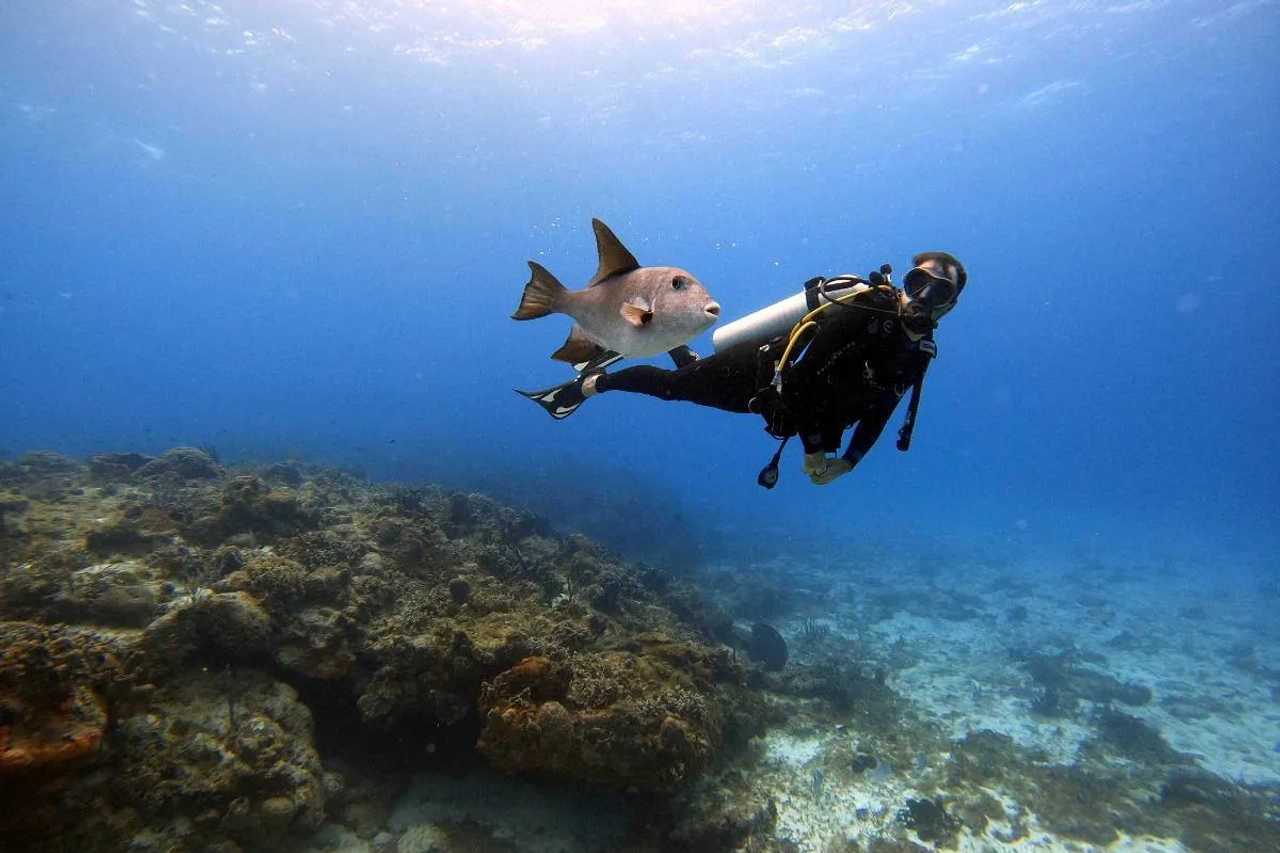 buceo Cozumel