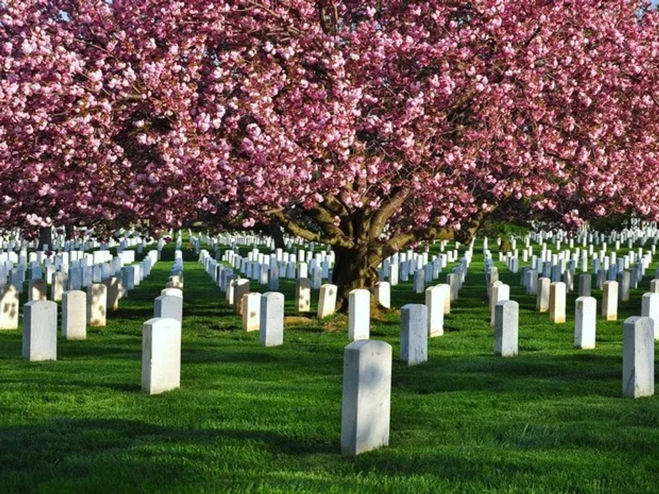 Los cementerios más bonitos y peculiares