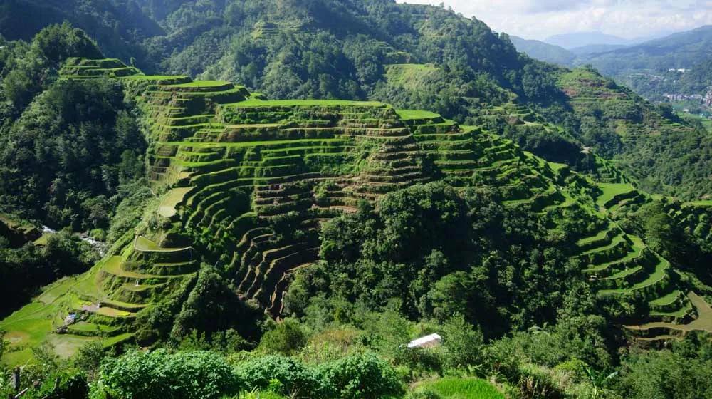 terrazas de arroz en Filipinas