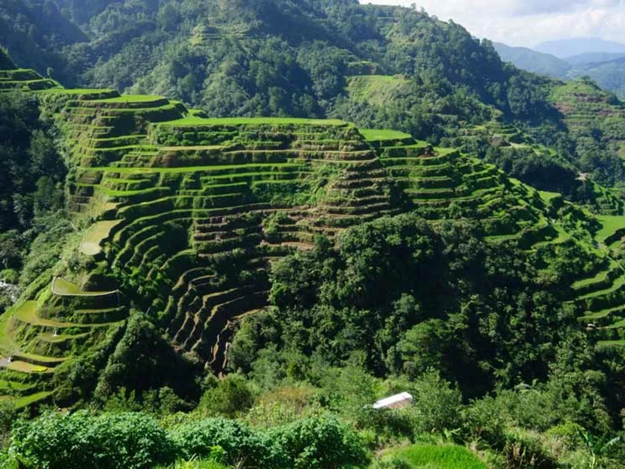 terrazas de arroz en Filipinas