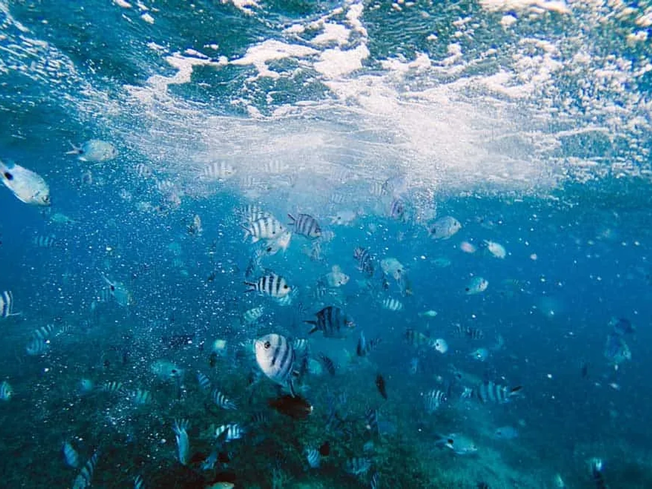 Parque Marino de Blue Bay