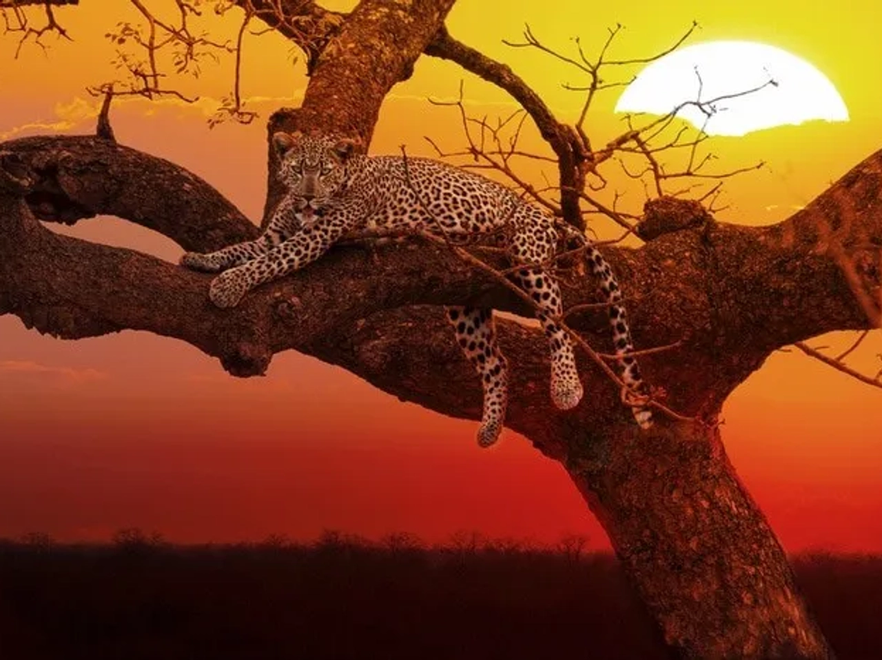 Itinerario de viaje a Sudáfrica