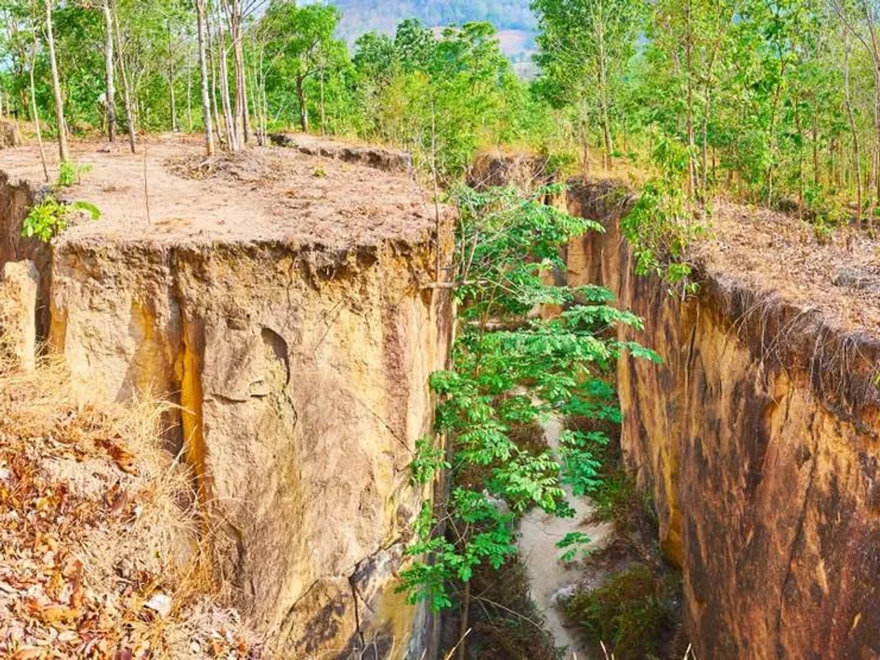 The Land Split, en Pai