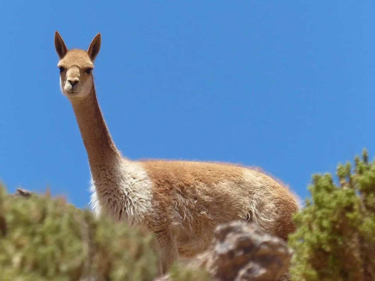 viajar al salar de Uyuni
