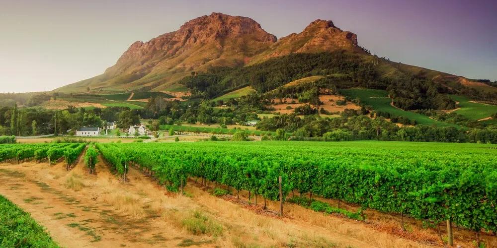 Stellenbosch viagem 15 dias africa sul