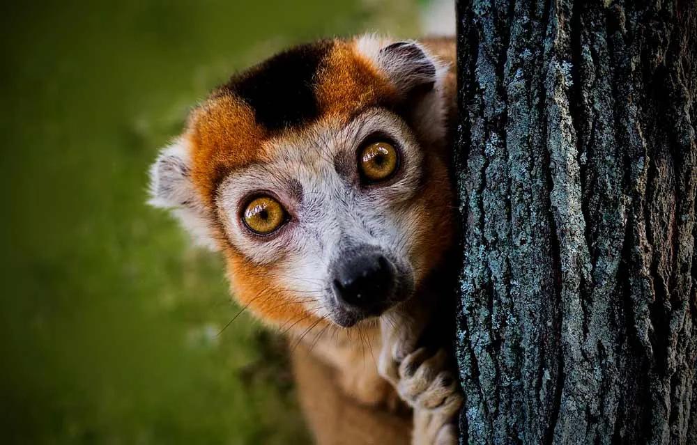 Seguro de viaje a Madagascar