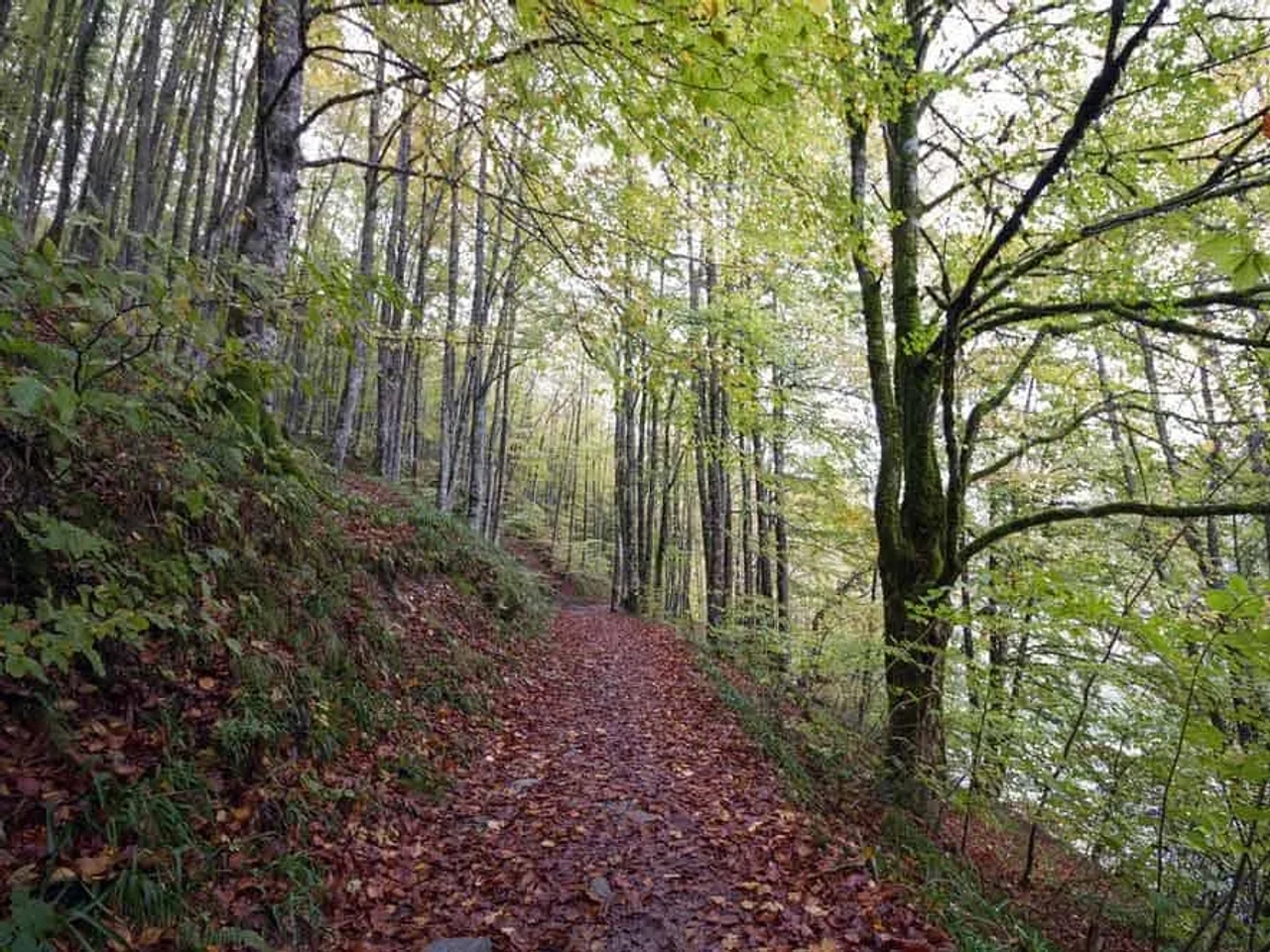navarra en furgoneta