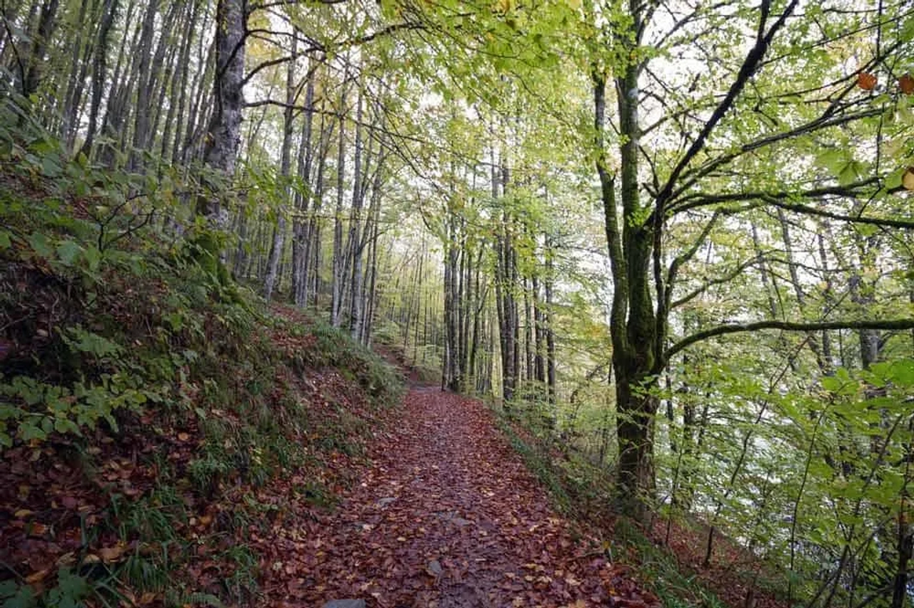 navarra en furgoneta