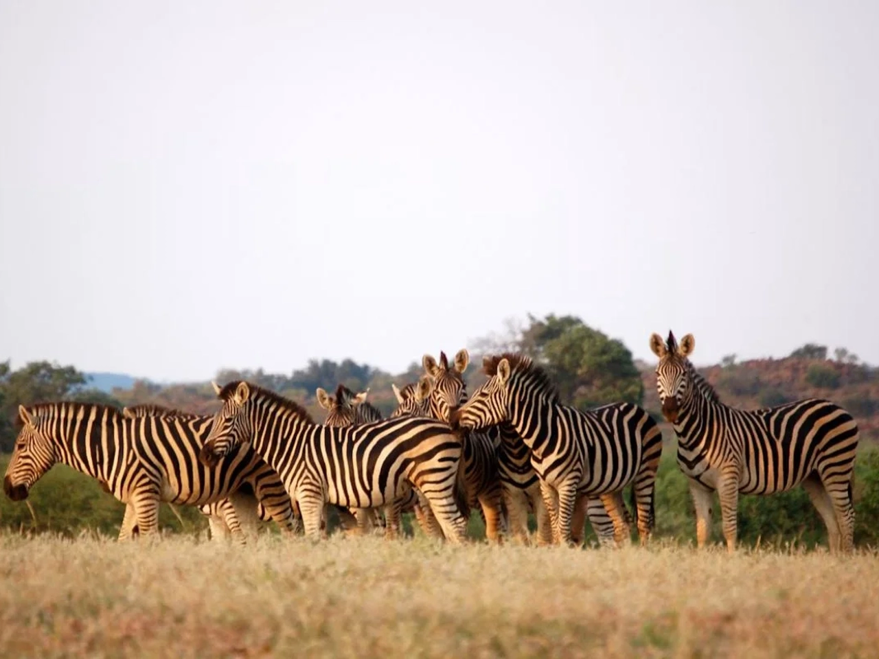 Requisitos para viajar a Botswana