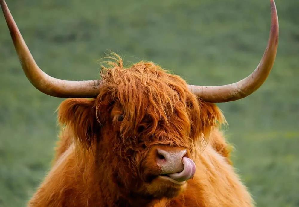 Reino Unidos, requisitos y documentos