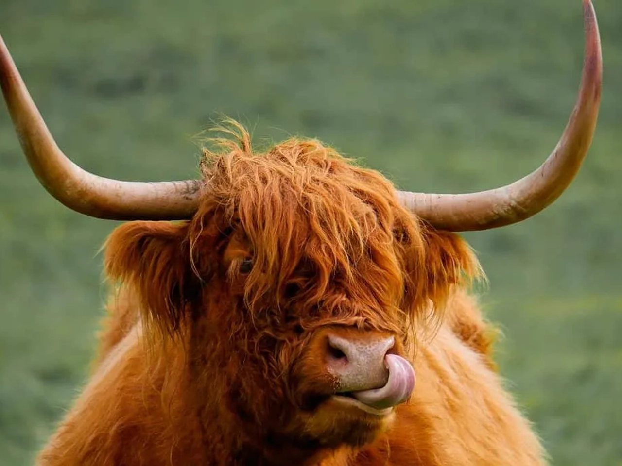 Reino Unidos, requisitos y documentos